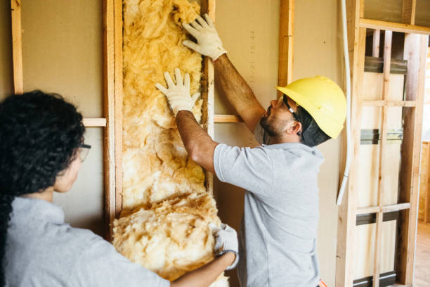 Best Attic Insulation Installation  in Ruidoso Downs, NM